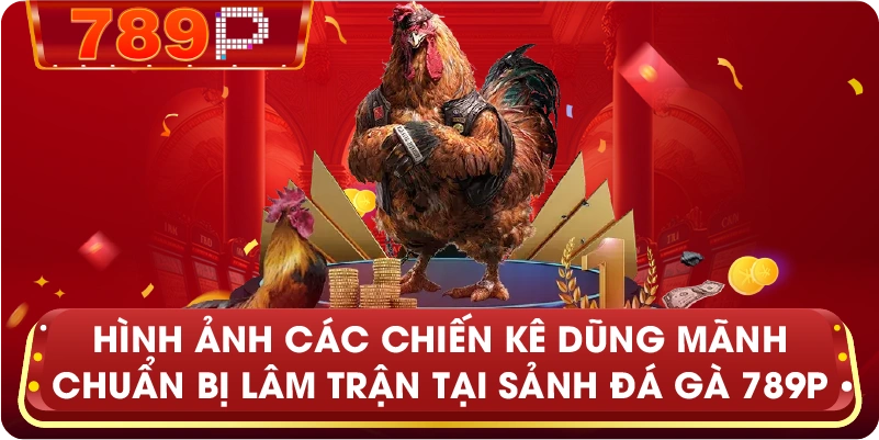 Hình ảnh các chiến kê dũng mãnh chuẩn bị lâm trận tại sảnh Đá Gà 789P