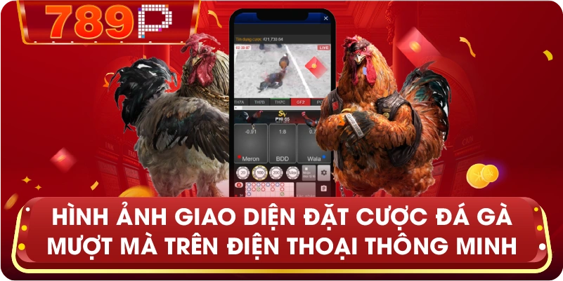 Hình ảnh giao diện đặt cược đá gà mượt mà trên điện thoại thông minh
